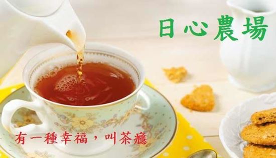 圖片 日心農場-台茶18號紅玉紅茶