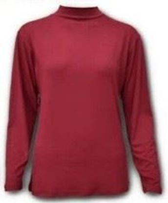 圖片 【HONEY LU LU 】K783 輕磨毛保暖衣-女立領 發熱衣