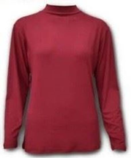 圖片 【HONEY LU LU 】K783 輕磨毛保暖衣-女立領 發熱衣