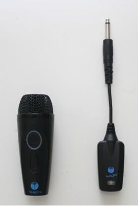 圖片 養聲堂 YS-100手持無線麥克風 +YS-200音頻接收主機